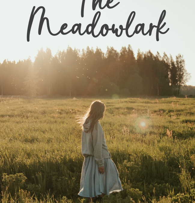 NEW NOVEL: The Meadowlark