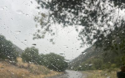 {#38} Summer Rain