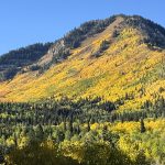 {#42} Names We Hear and Smell, Names We Don’t