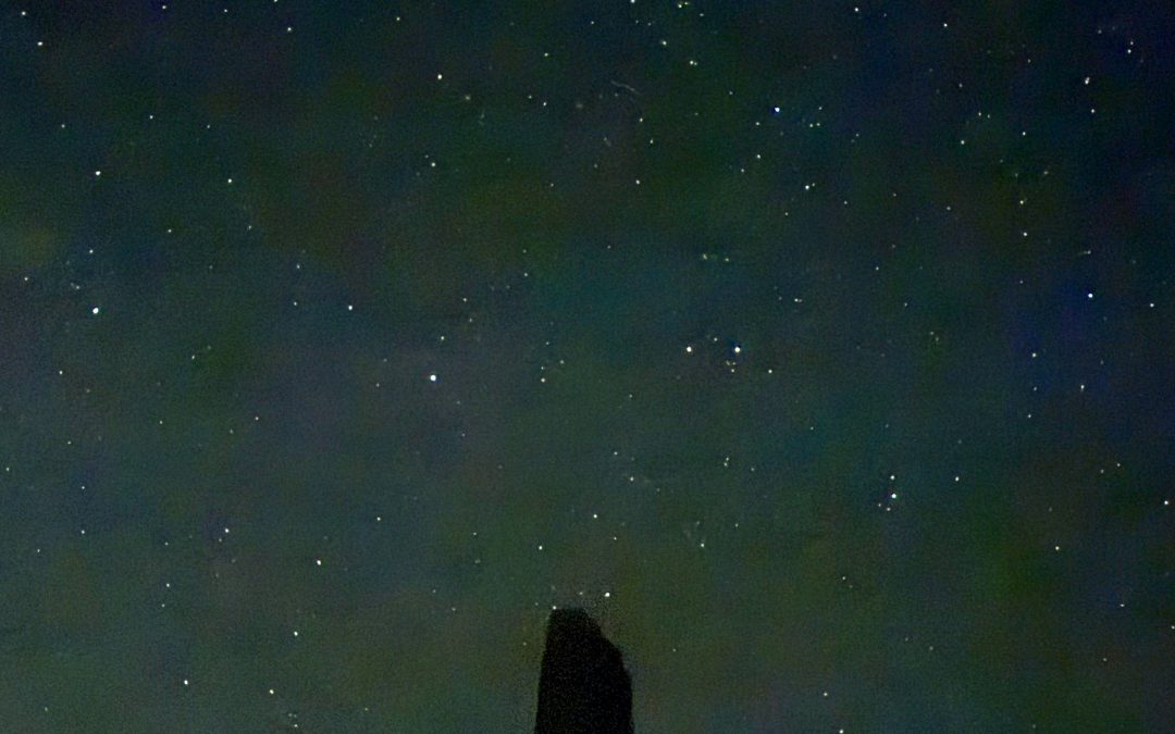 {#43} A Swiftly Tilting Planet