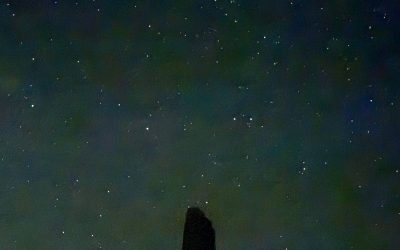 {#43} A Swiftly Tilting Planet