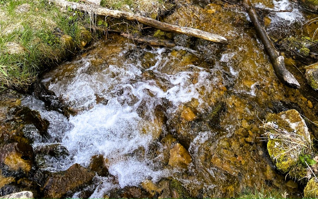 {#46} Choosing Play Again