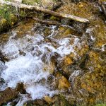 {#46} Choosing Play Again