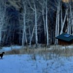 {#51} What Winter Knows About Sleep