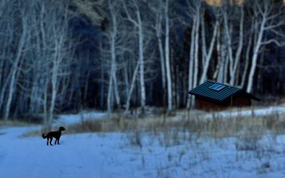 {#51} What Winter Knows About Sleep