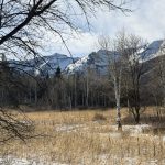 {#48} Routine or Ritual?