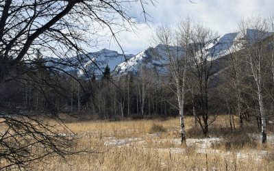 {#48} Routine or Ritual?