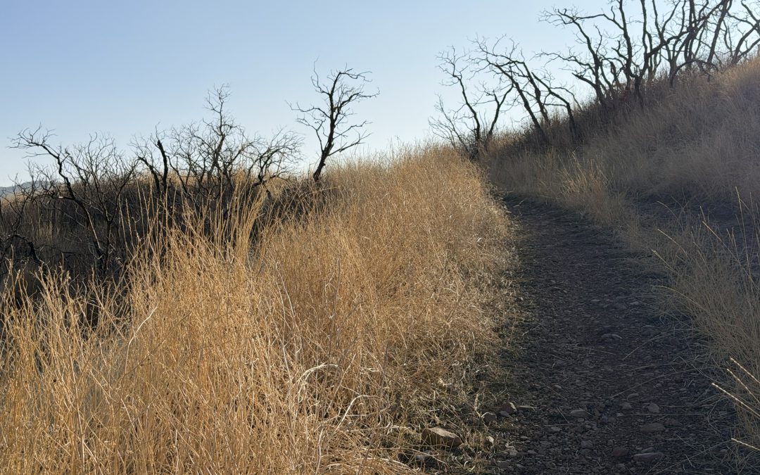 {#49} Against the Grain