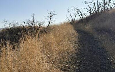 {#49} Against the Grain