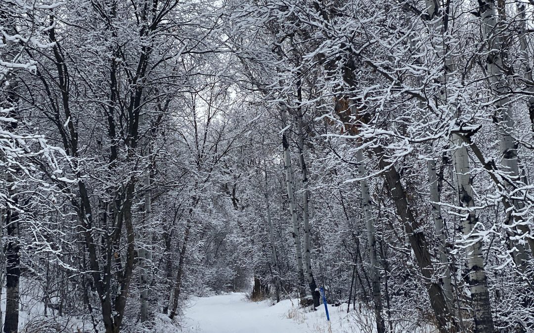 {#52} Old Jacket, New Boots