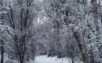 {#52} Old Jacket, New Boots