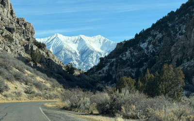 {#53} Shoulder Season